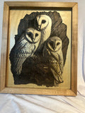 Owls 13.5x11